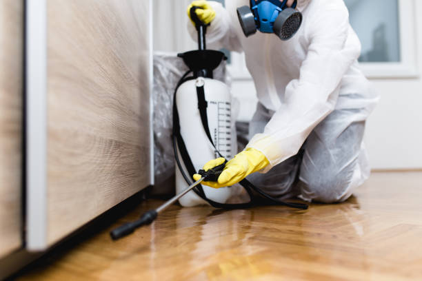 Best Cockroach Control Services  in Plain City, OH