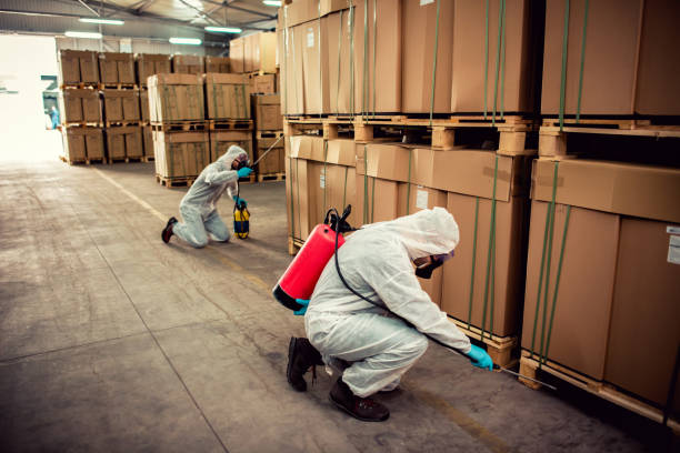 Best Affordable Pest Control Services  in Plain City, OH