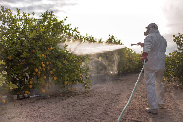 Best Best Pest Control Companies  in Plain City, OH