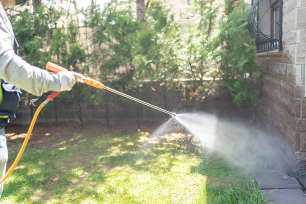 Best Local Pest Control Services  in Plain City, OH