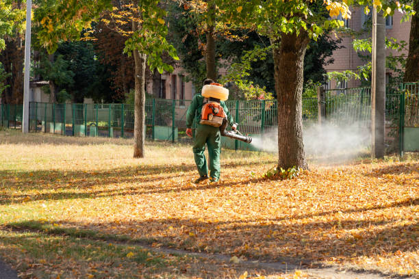 Best Residential Pest Control  in Plain City, OH