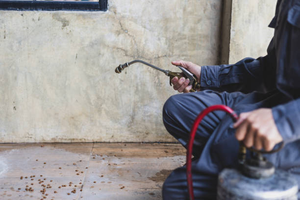 Best Commercial Pest Control Services  in Plain City, OH