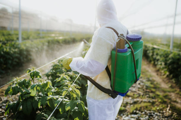 Best Wasp Removal Services  in Plain City, OH